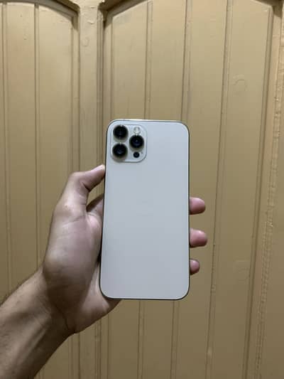 iPhone 12 Pro Max 256