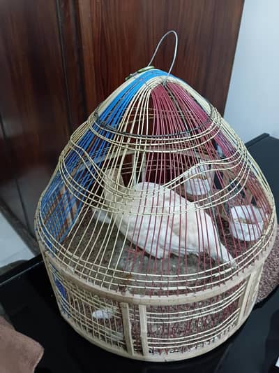 Beatifull white teeter bol na wala 03006153033