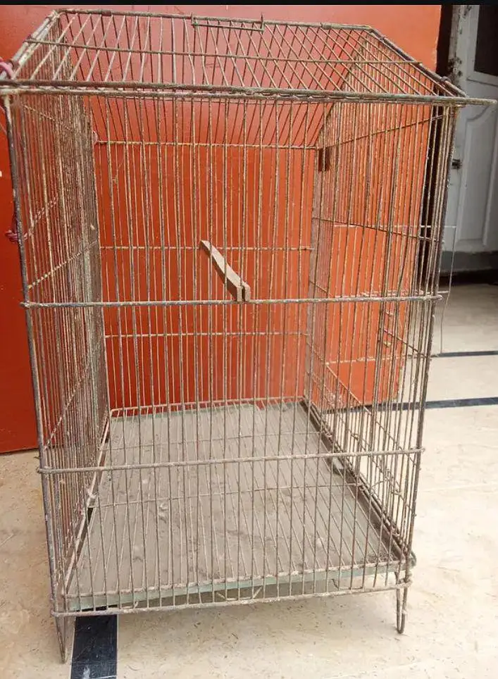 Birds Cage With Tray — photo 3