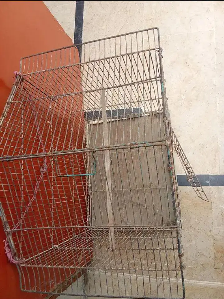 Birds Cage With Tray — photo 4