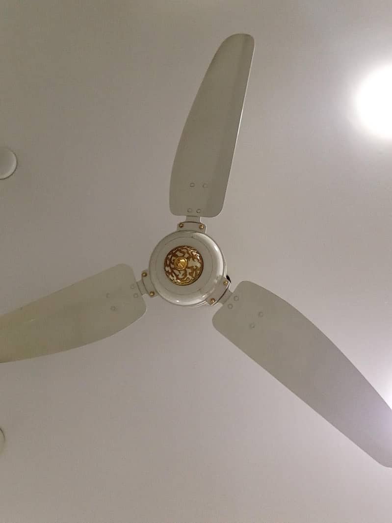 Royal AC 1