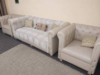 sofa set & coffee table set