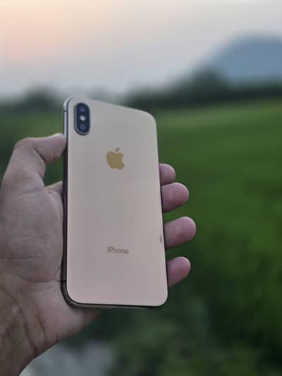 Apple iPhone XS