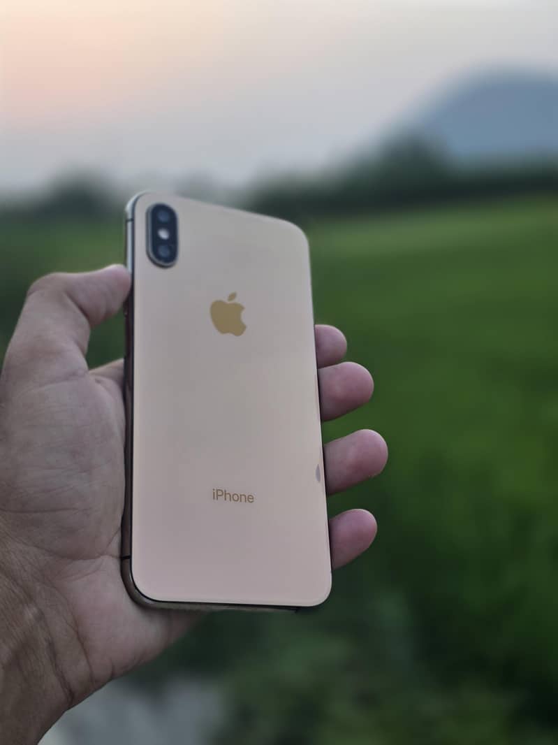 Apple iPhone XS 0