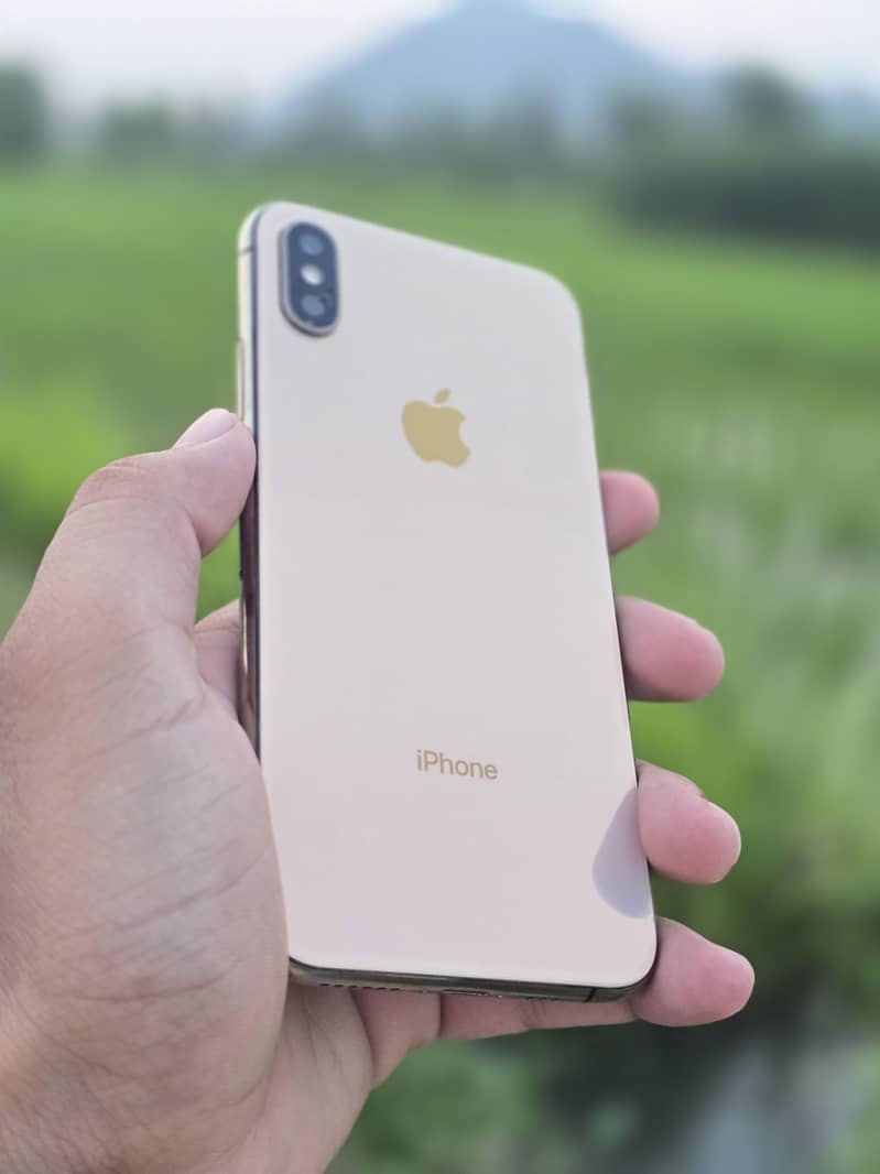 Apple iPhone XS 5
