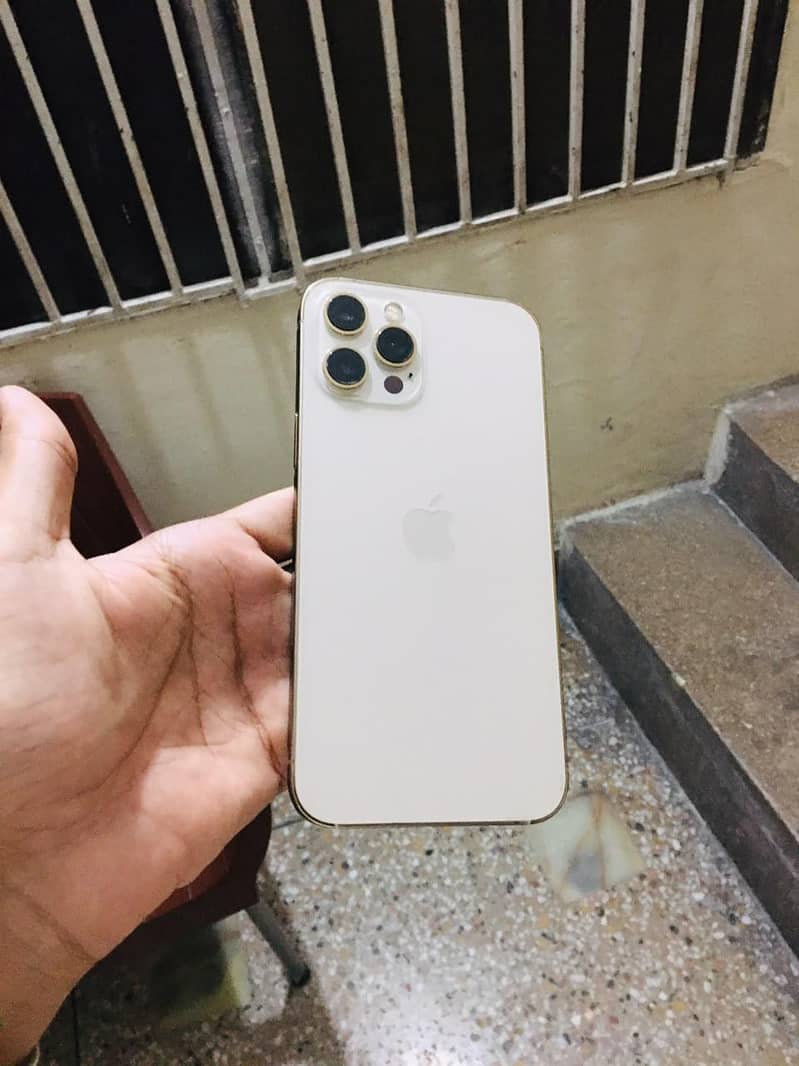 Apple iPhone 12 Pro Max 0