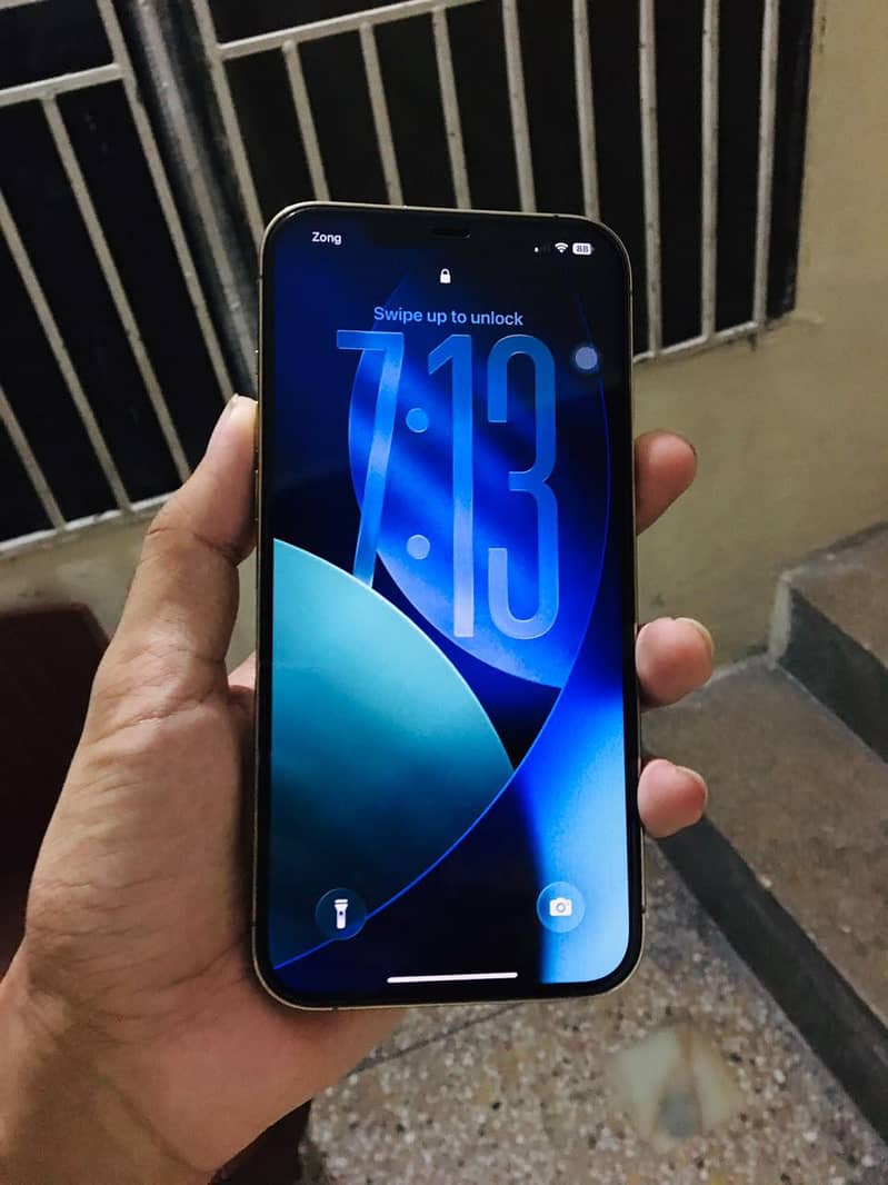 Apple iPhone 12 Pro Max 1