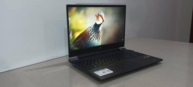 Victus 15 fb2082wm 1TB SSD, RTX-4050