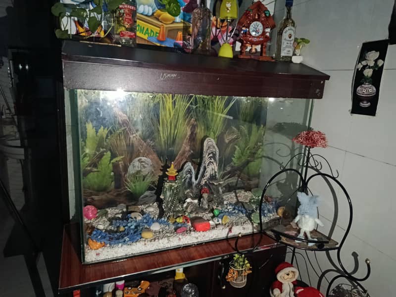 Fish Aquarium 0