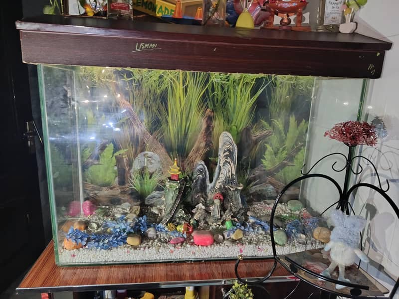 Fish Aquarium 1