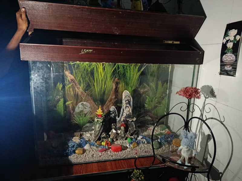 Fish Aquarium 2