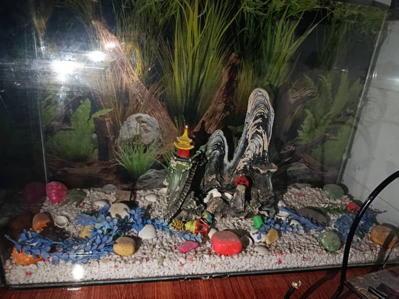 Fish Aquarium 3