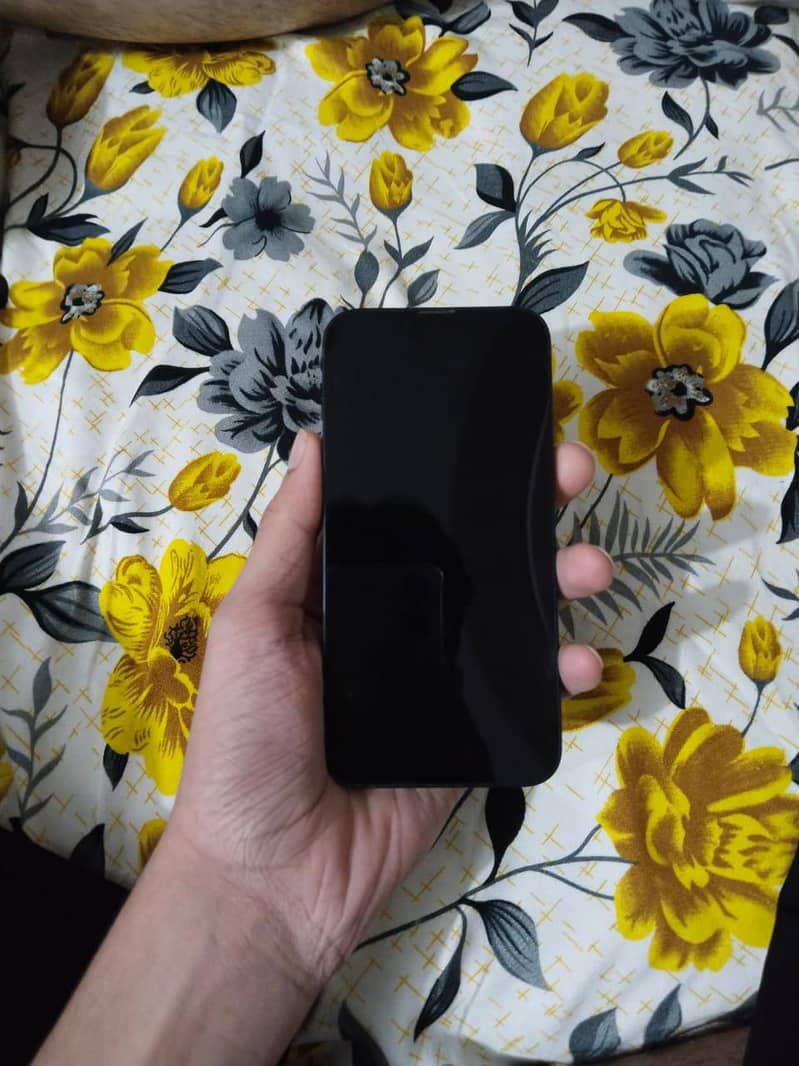 Apple iPhone 13 1