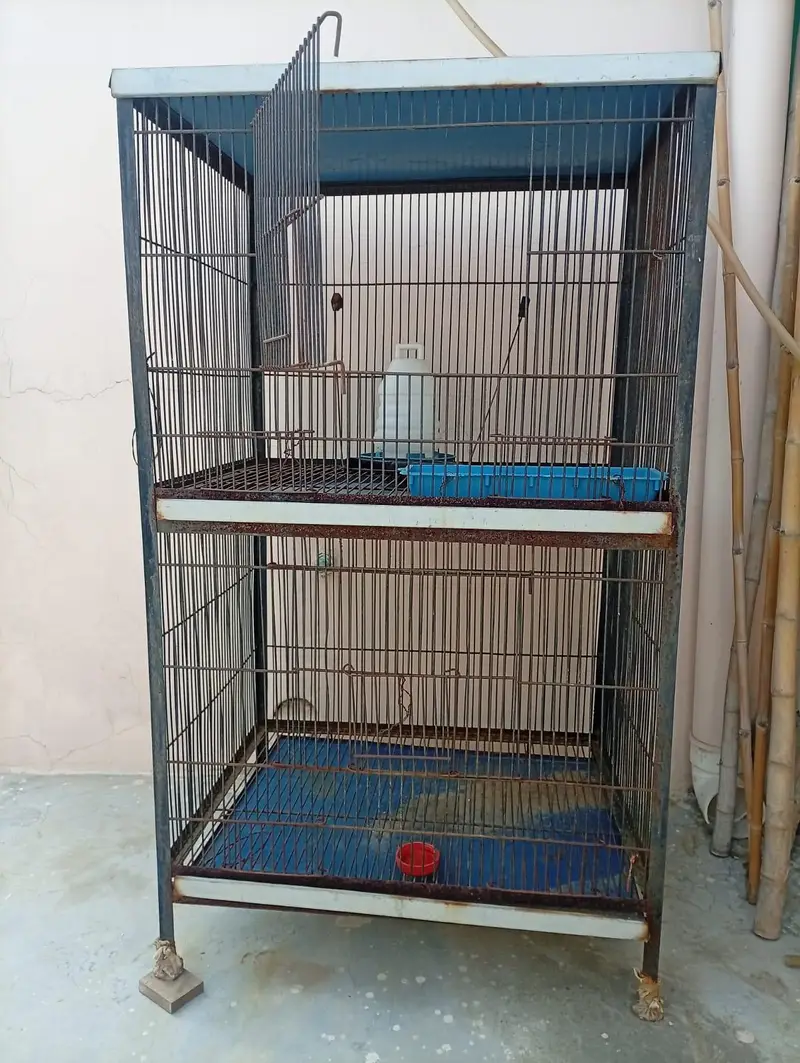Double Story Bird Cage – دو منزلہ پرندوں کا پنجرہ — photo 2