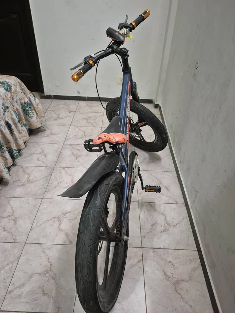 Age 1yr  7/10 condition 2