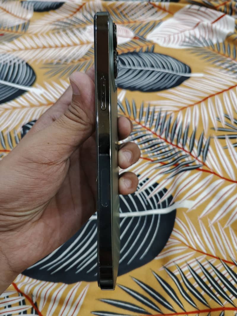 Apple iPhone 13 Pro Max 2