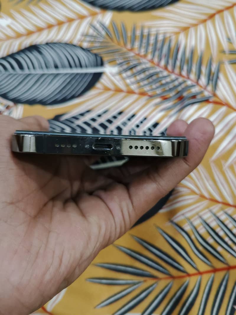 Apple iPhone 13 Pro Max 10