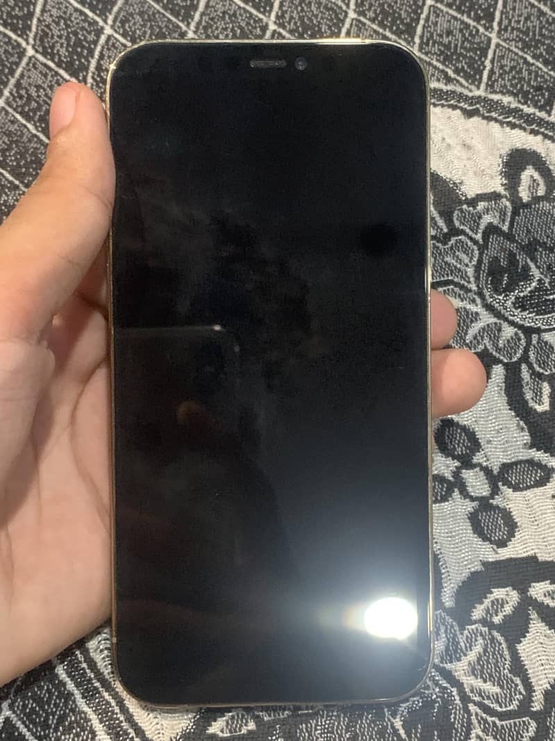 Apple iPhone 12 Pro 4