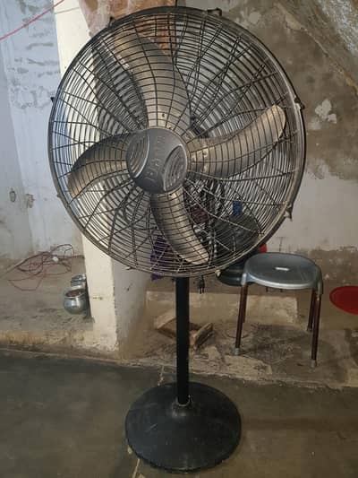 Branded Royal Fan:A1 Condition