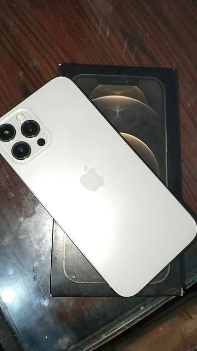 Apple iPhone 12 Pro Max