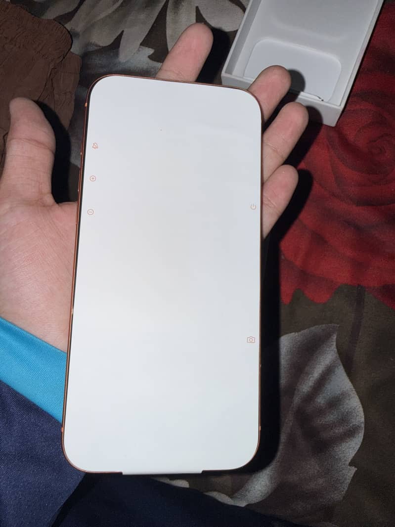 Apple iPhone 17 Pro Max 1