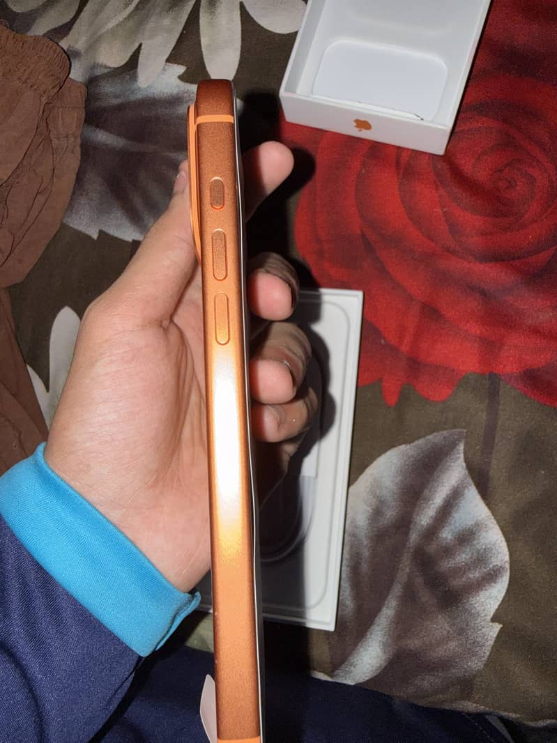 Apple iPhone 17 Pro Max 2