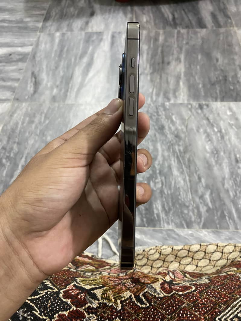 Apple iPhone 13 Pro Max 1