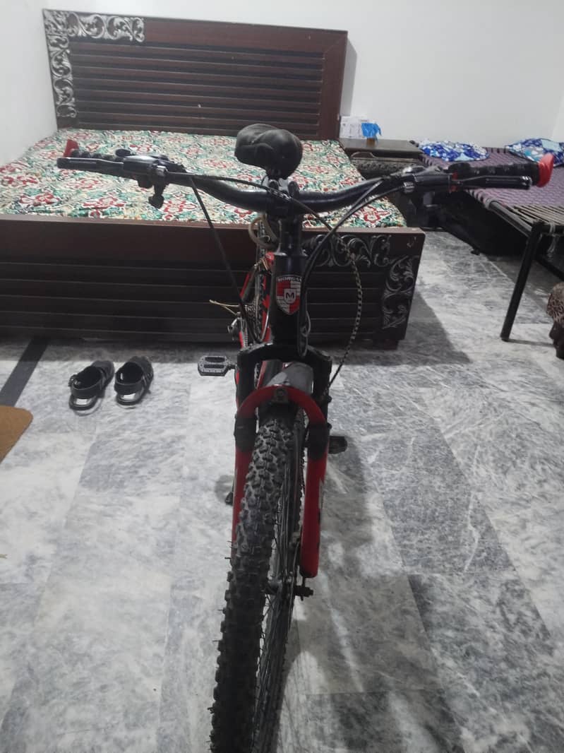Morgan bicycle 5