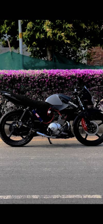 Ybr Japanese for sale