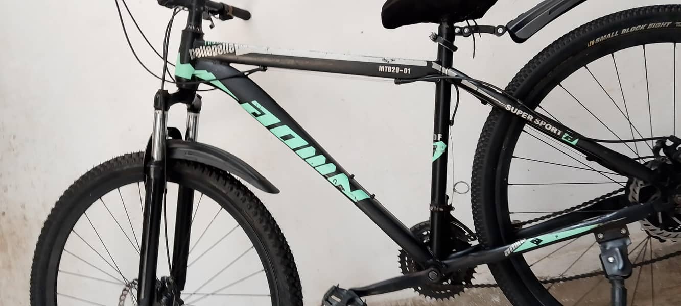 Original MTB 29 size cycle 1