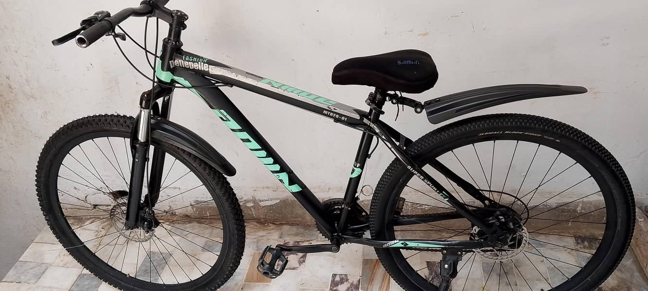 Original MTB 29 size cycle 2