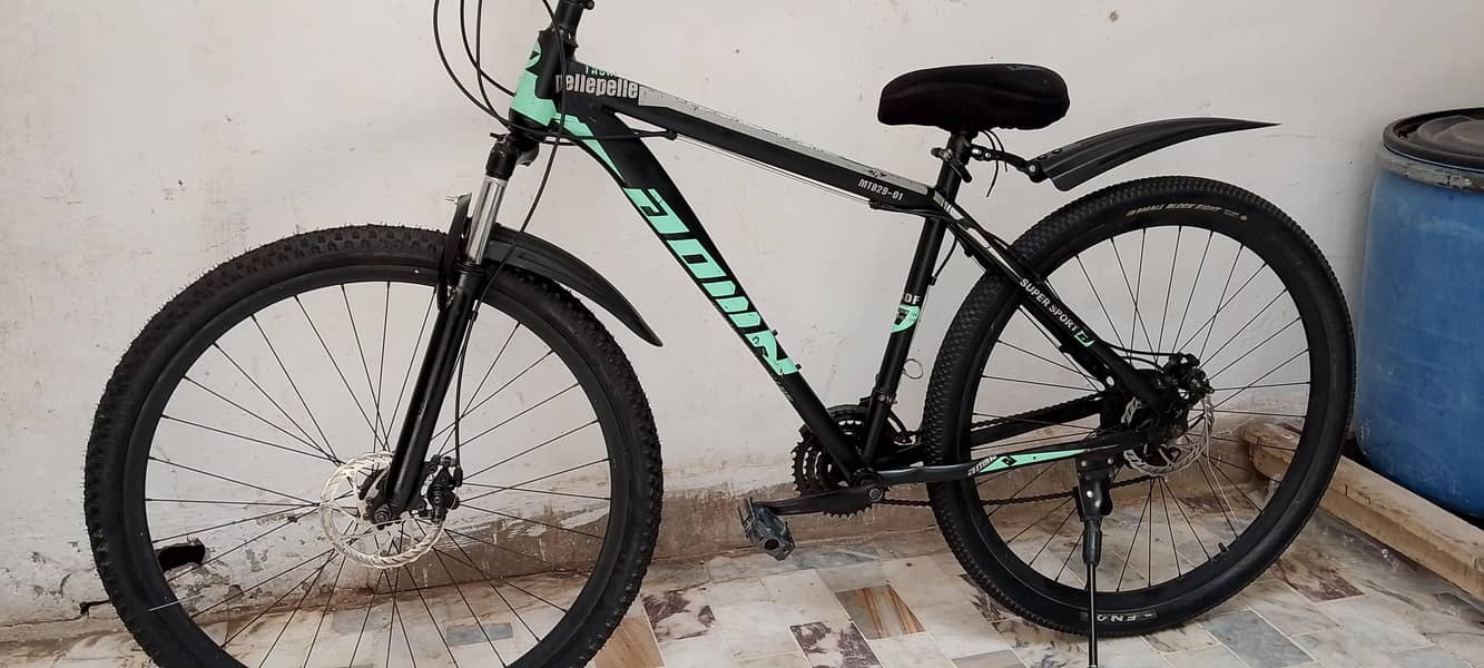 Original MTB 29 size cycle 3