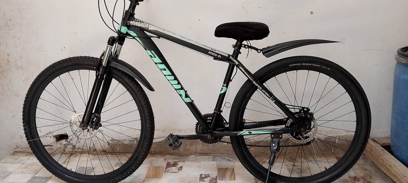Original MTB 29 size cycle 5