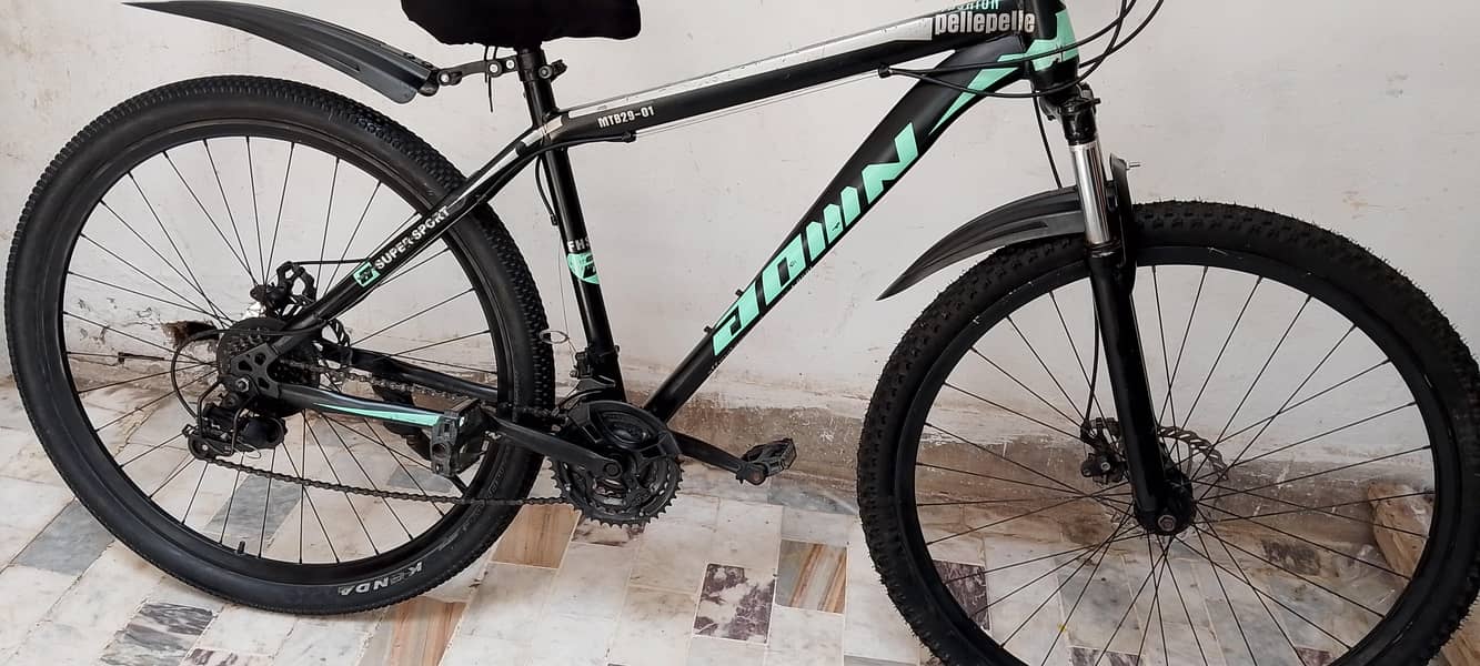 Original MTB 29 size cycle 11