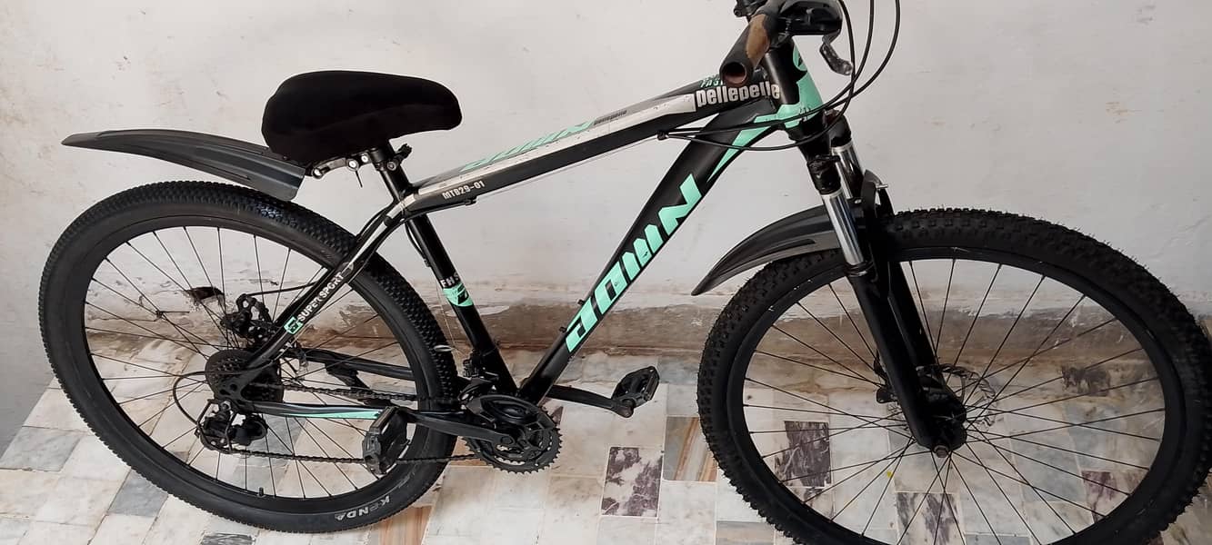 Original MTB 29 size cycle 17
