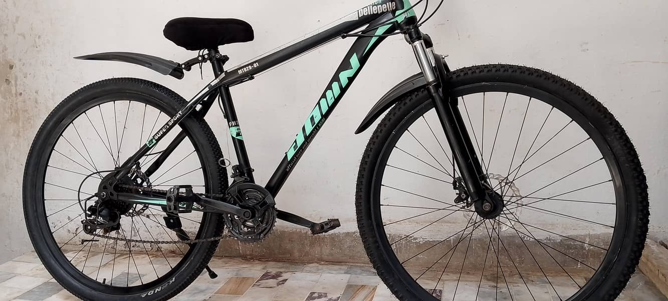 Original MTB 29 size cycle 18