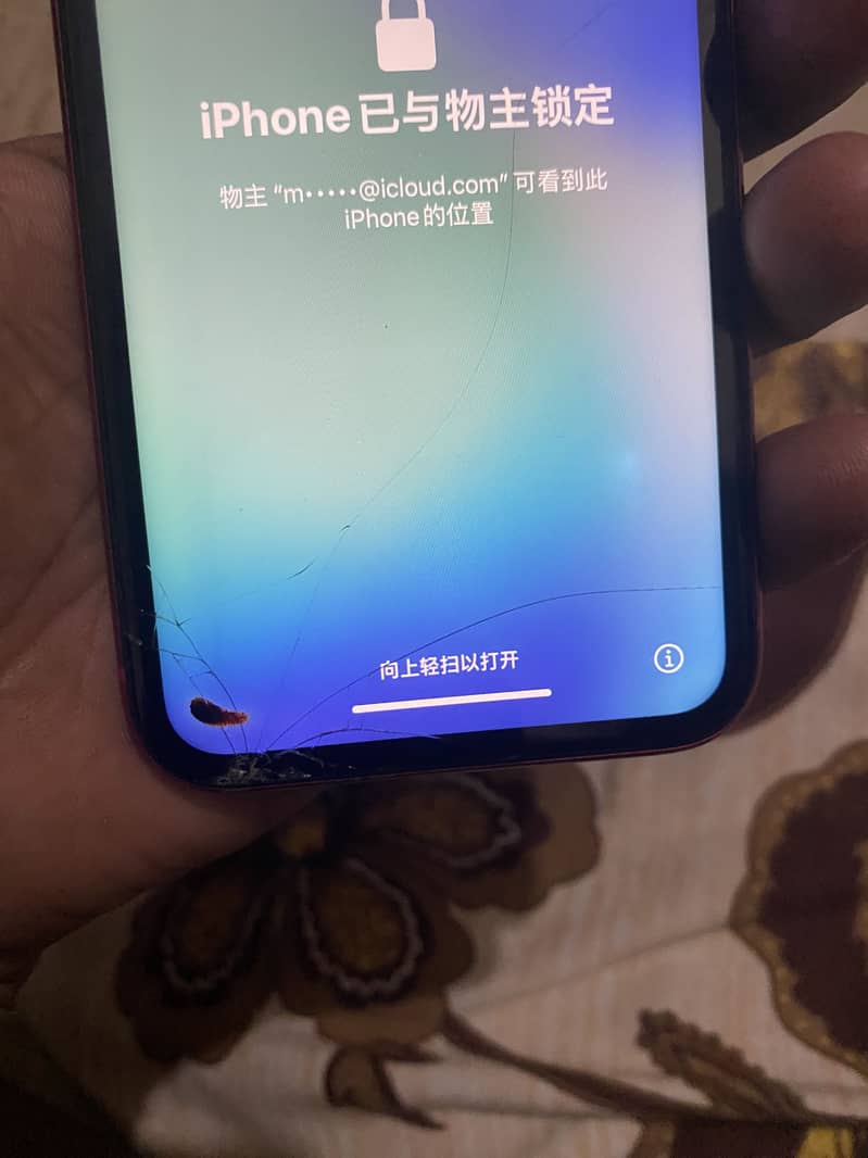 Apple iPhone 11 2