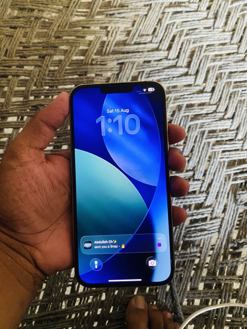 Apple iPhone 13 Pro Max 1