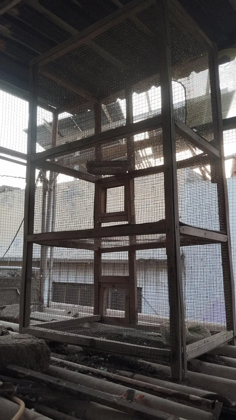 wooden cage — photo 2