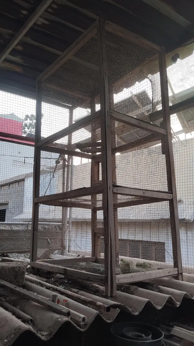 wooden cage — photo 3