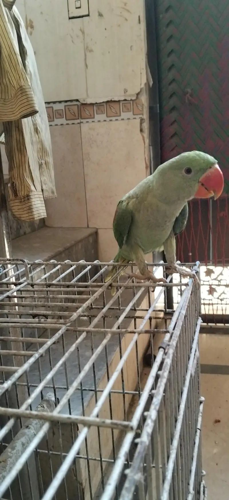 5 month k ho gaye hain 1 month k liay thy — photo 6