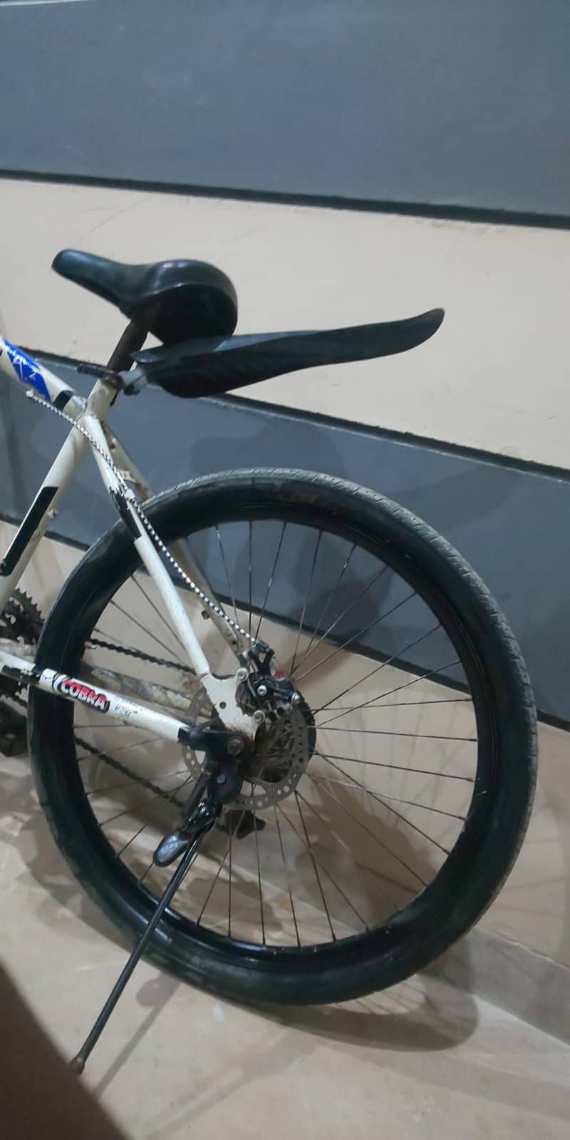Cycle 2