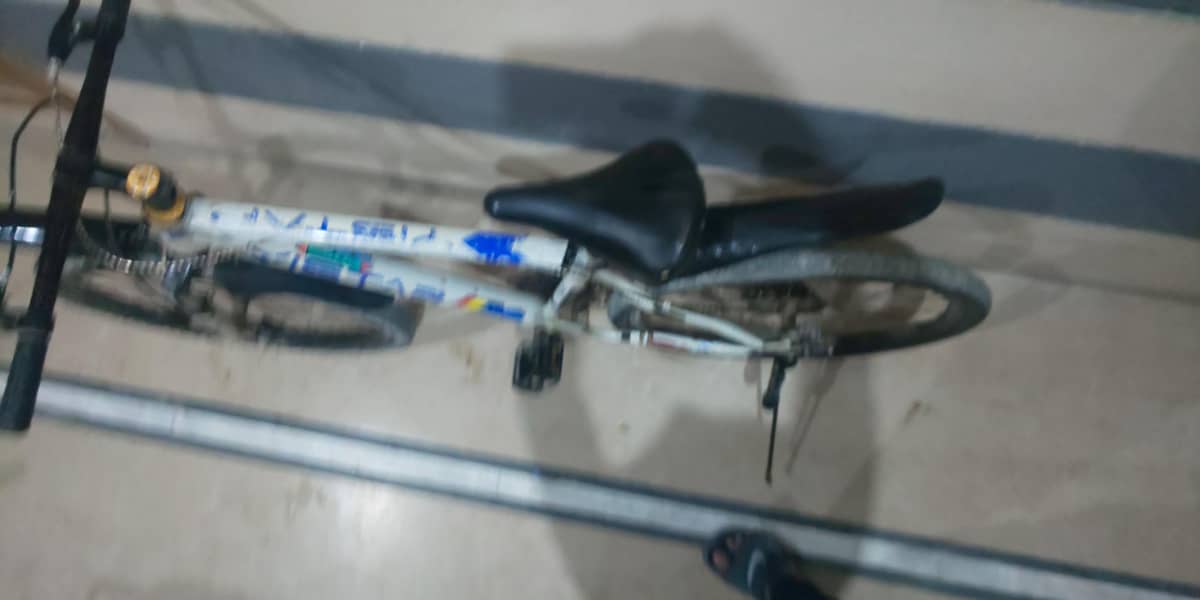 Cycle 4