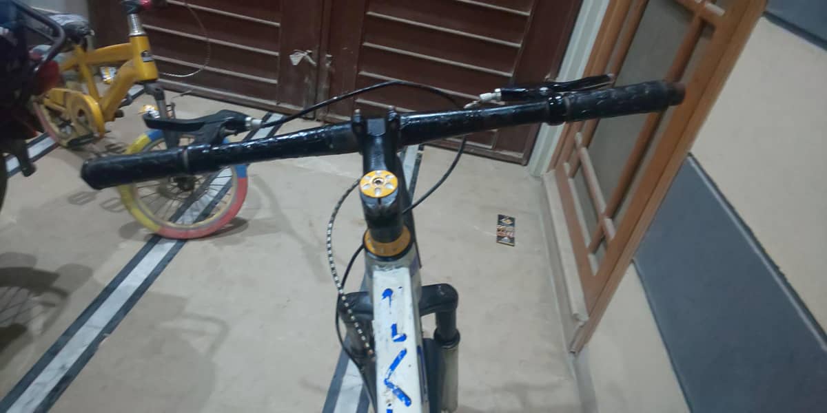 Cycle 7