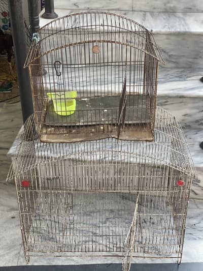 All okay cages ha