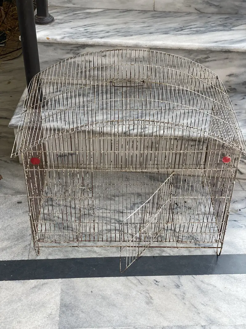 All okay cages ha — photo 4