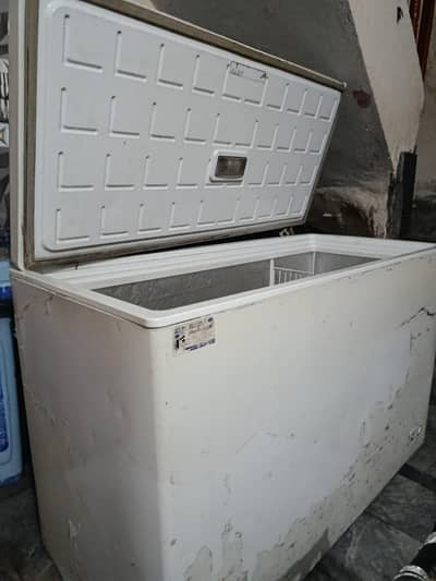 pell freezer for sale