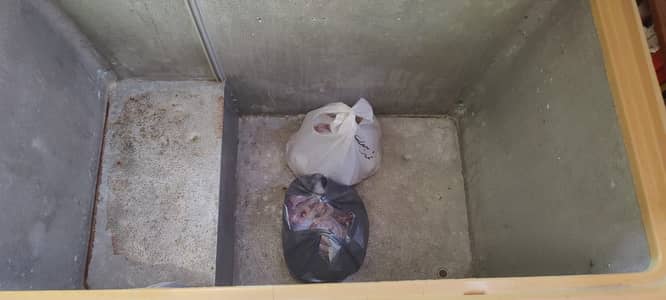 Deep Freezer