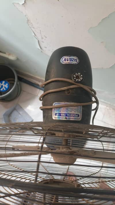 stand fan pak