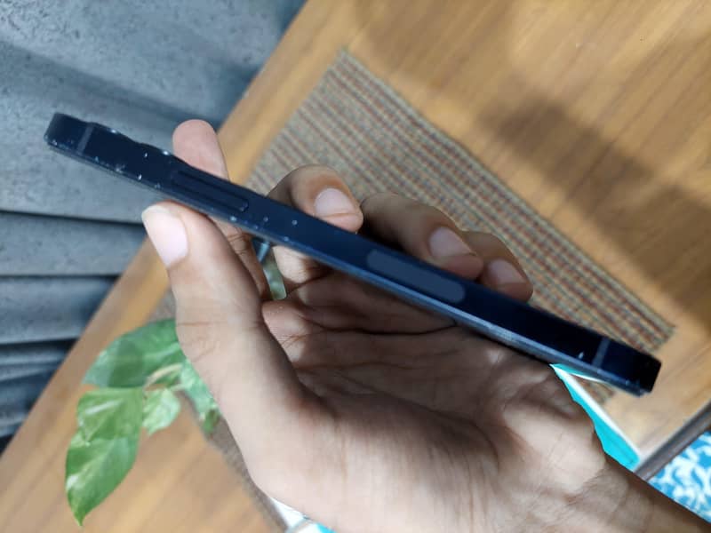 Apple iPhone 12 1